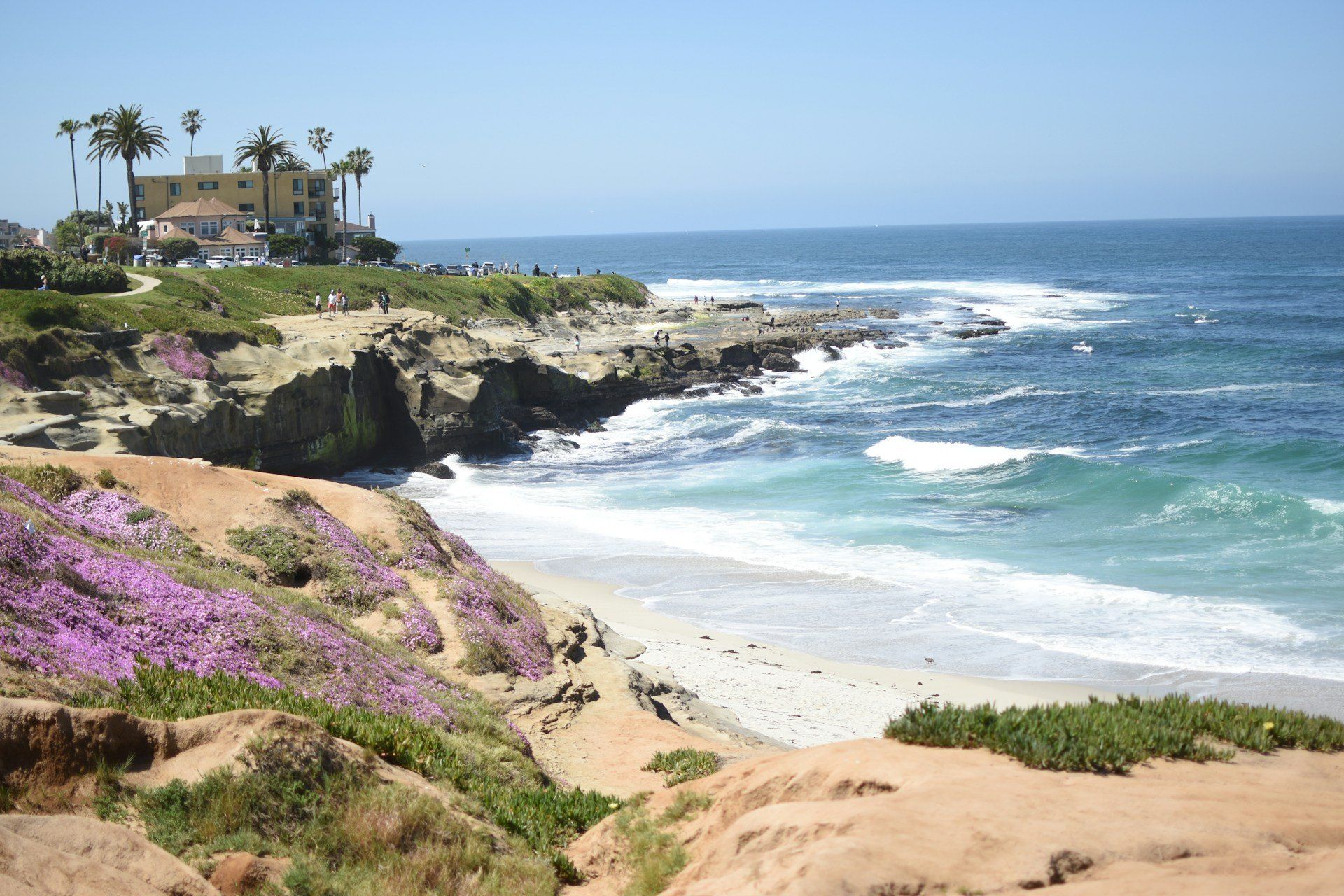 Purple flowers on the bluff above a rocky beach and blue ocean in La Jolla, California