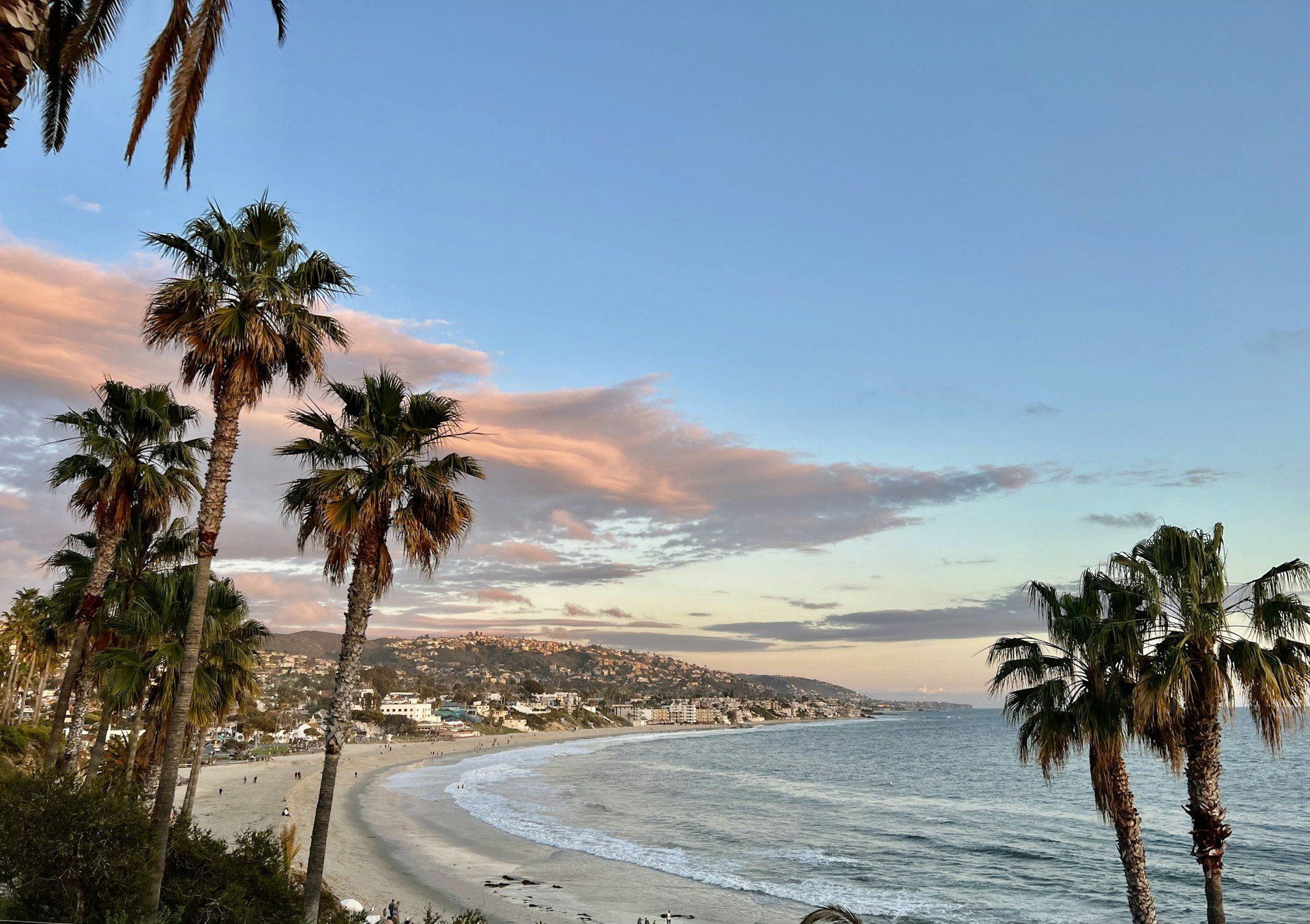 Palm trees above the beach and ocean at sunset in Laguna Beach, California