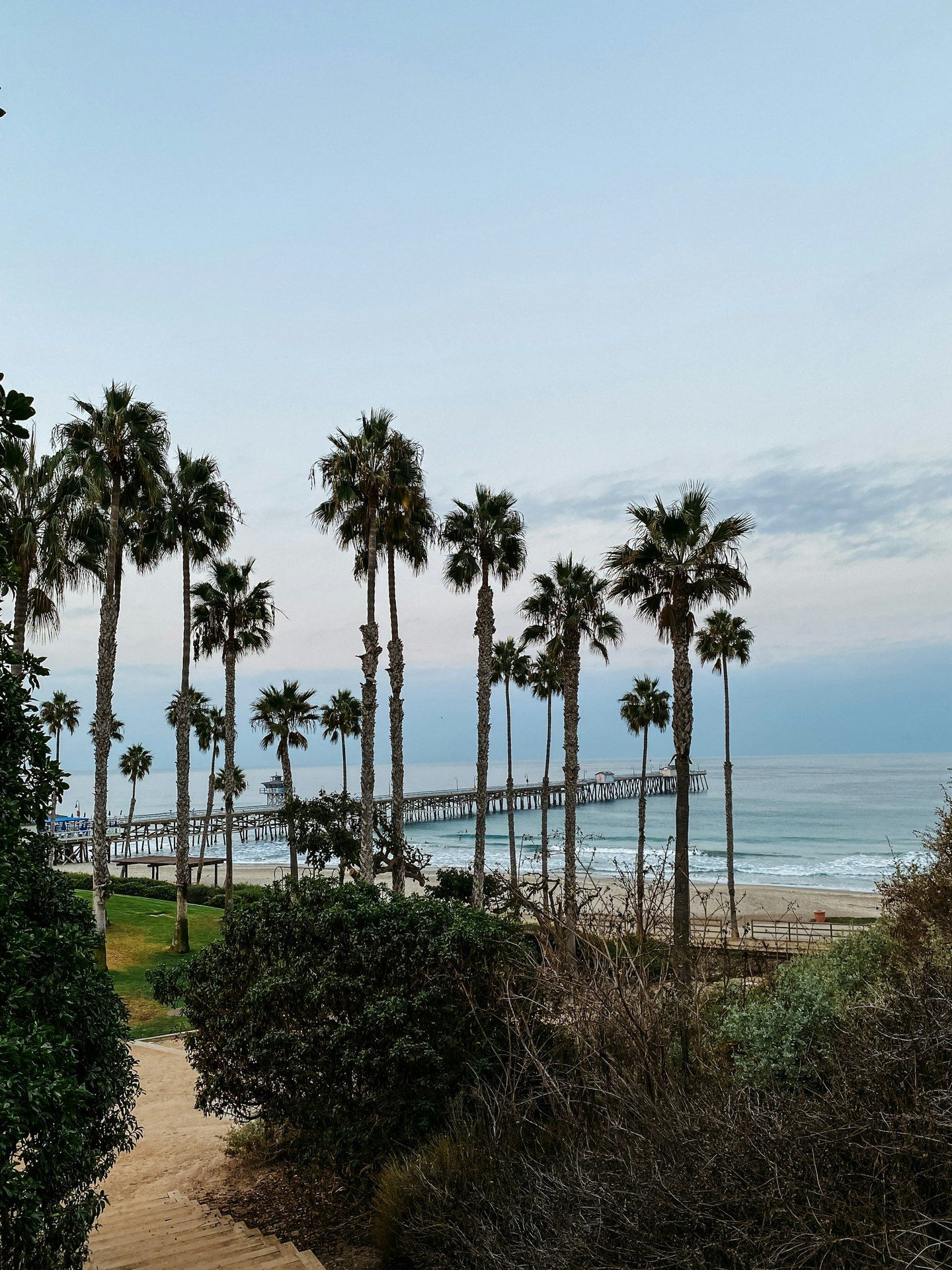 Beach with palm trees and the San Clemente Pier in the distance, California